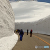 立山　雪大谷　その２