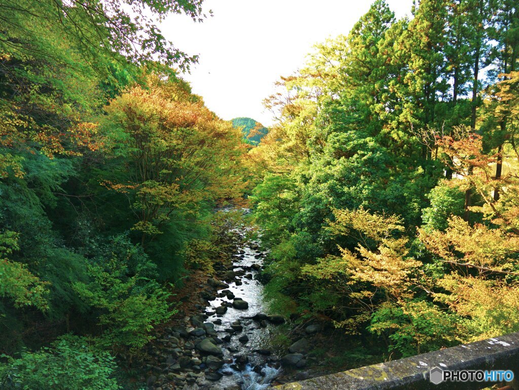 紅葉（早かった・・・）