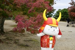 彦根ニャン