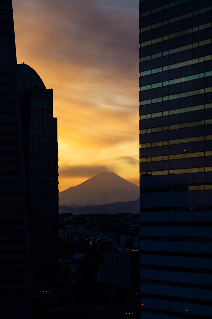 横浜から望む夕富士