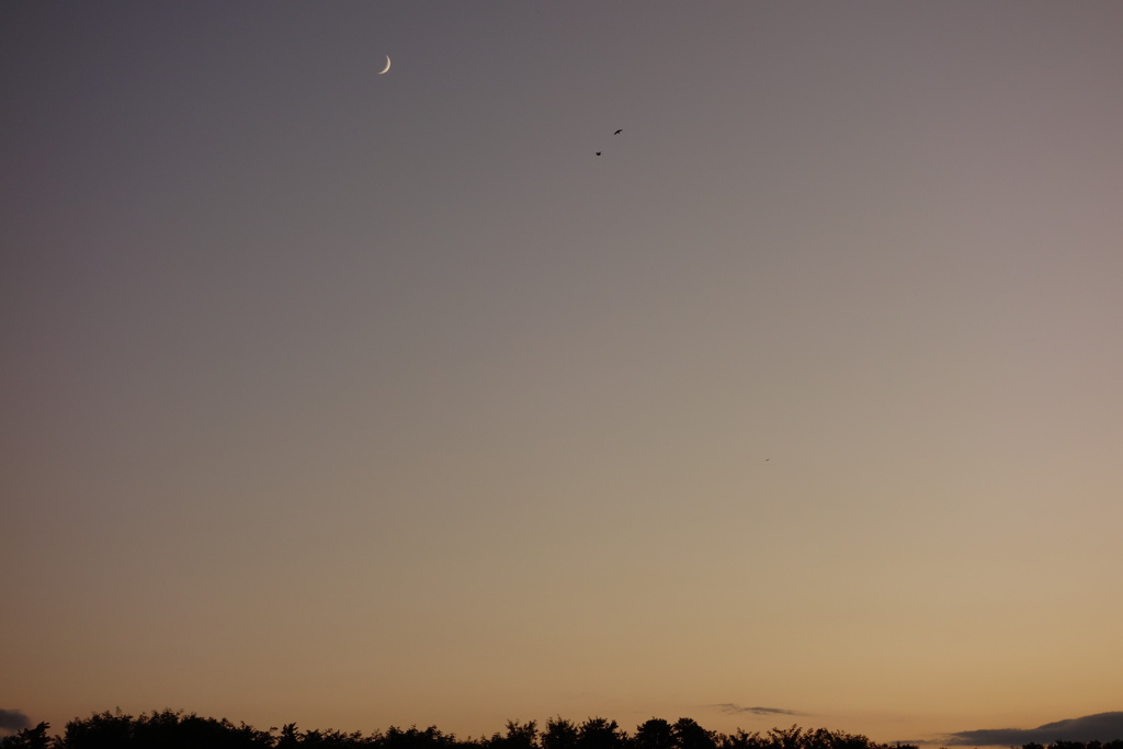 秋の夕暮れ