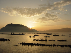 若狭高浜