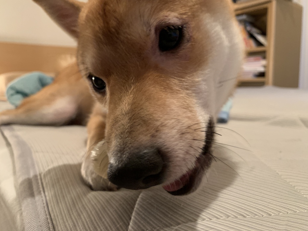 食べちゃうよー