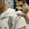 狂気の犬！真顔で肩を噛みます