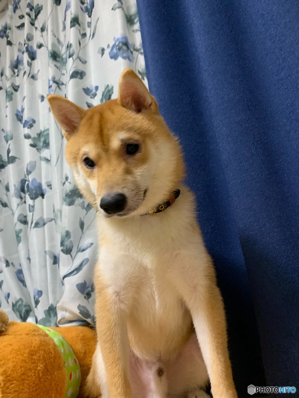 四方そういち？四方ていいち？