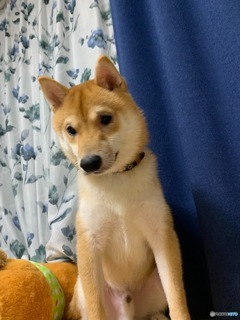 四方そういち？四方ていいち？