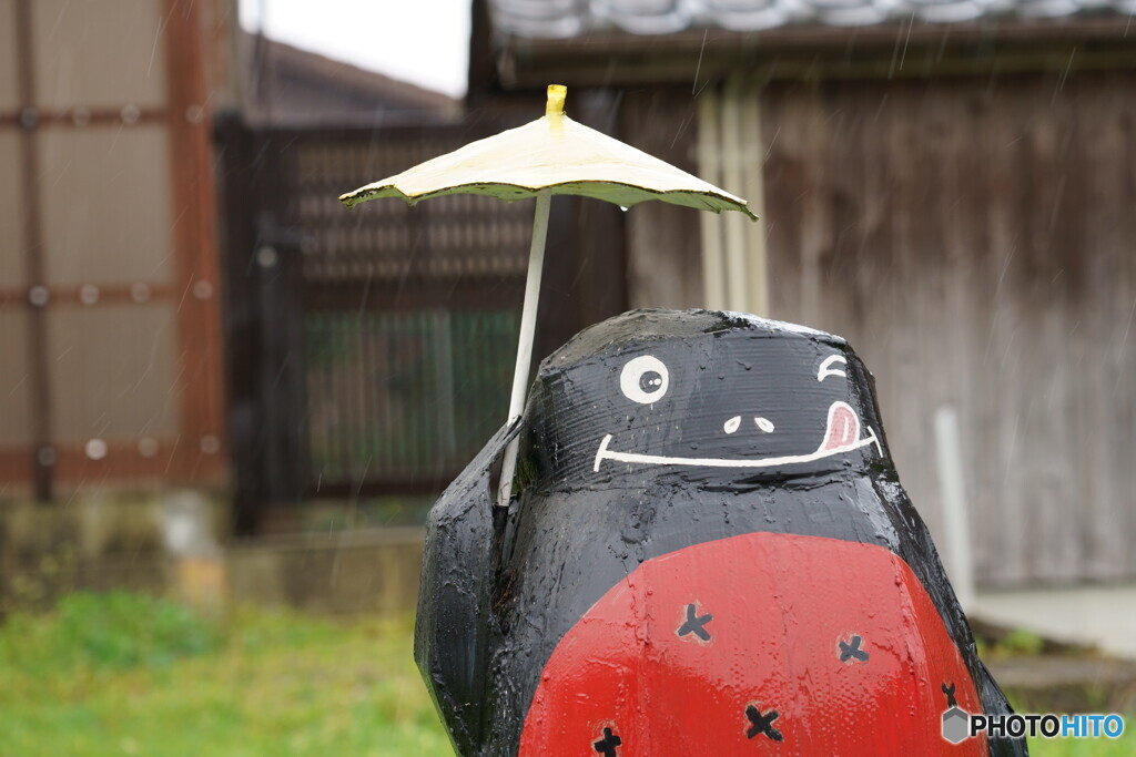 雨の中お疲れ様