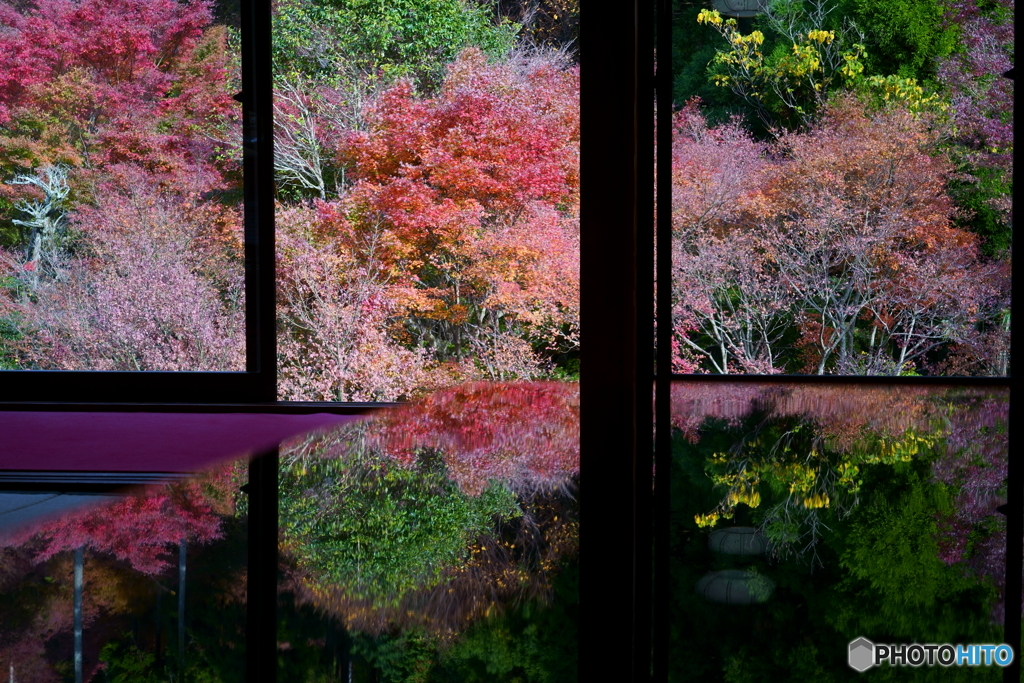 紅葉のモザイク