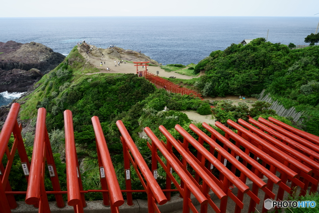 海へと続く鳥居