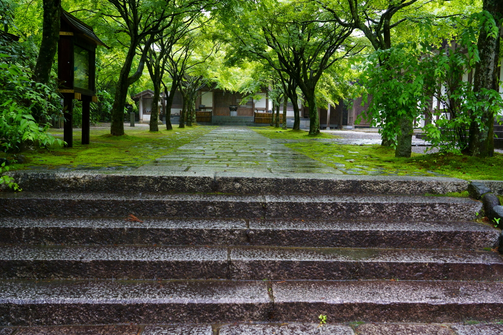 雨の呑山観音寺
