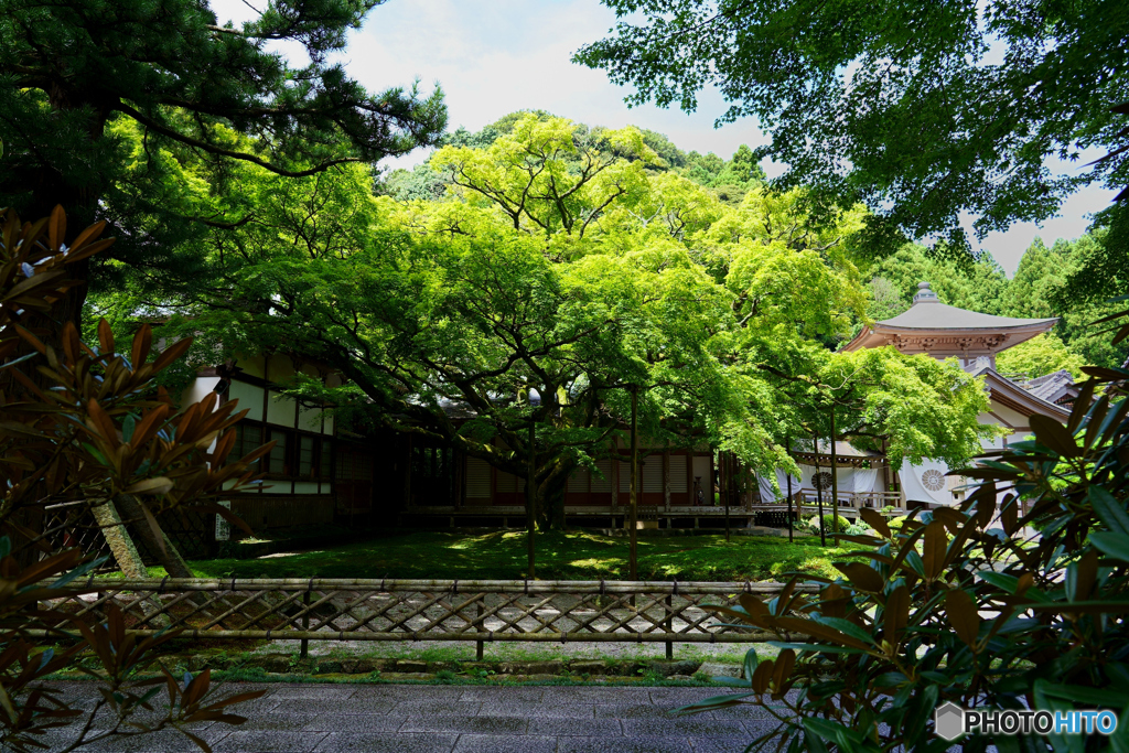 雷山千如寺