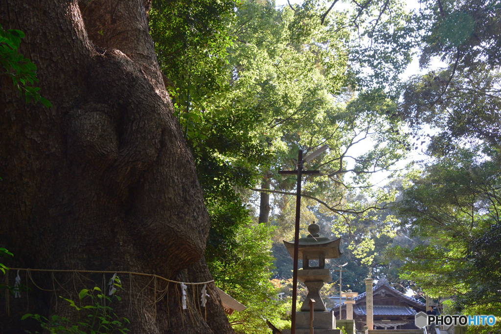 ムーミンが迎えるお社