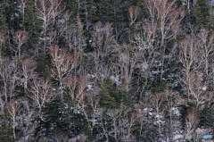 北海道撮影紀行3