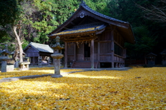 黄金の境内 黄金の境内