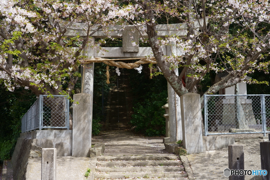 産土の春