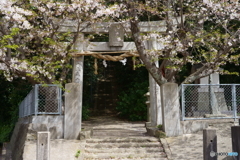 産土の春
