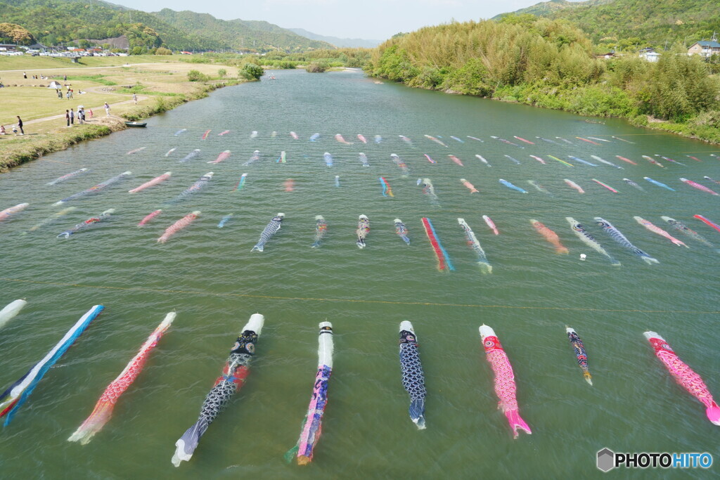 水を得た鯉