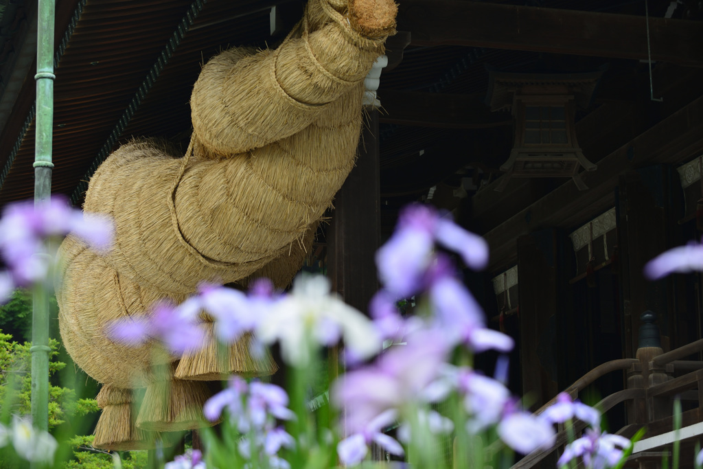 宮地嶽日本一　大注連縄 