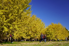 秋の午後 秋の午後