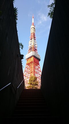 見上げた空