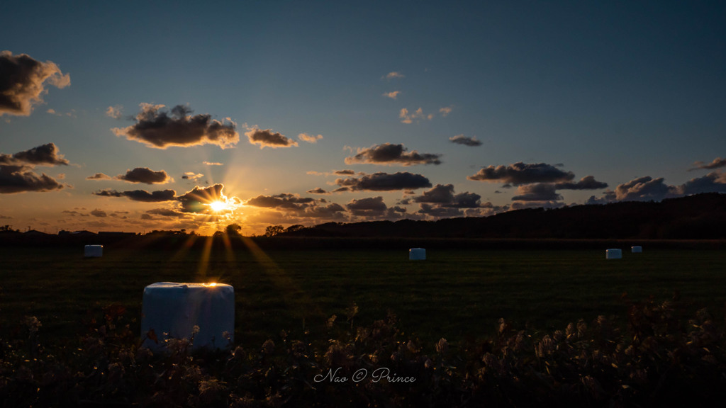 牧草地に沈む夕陽