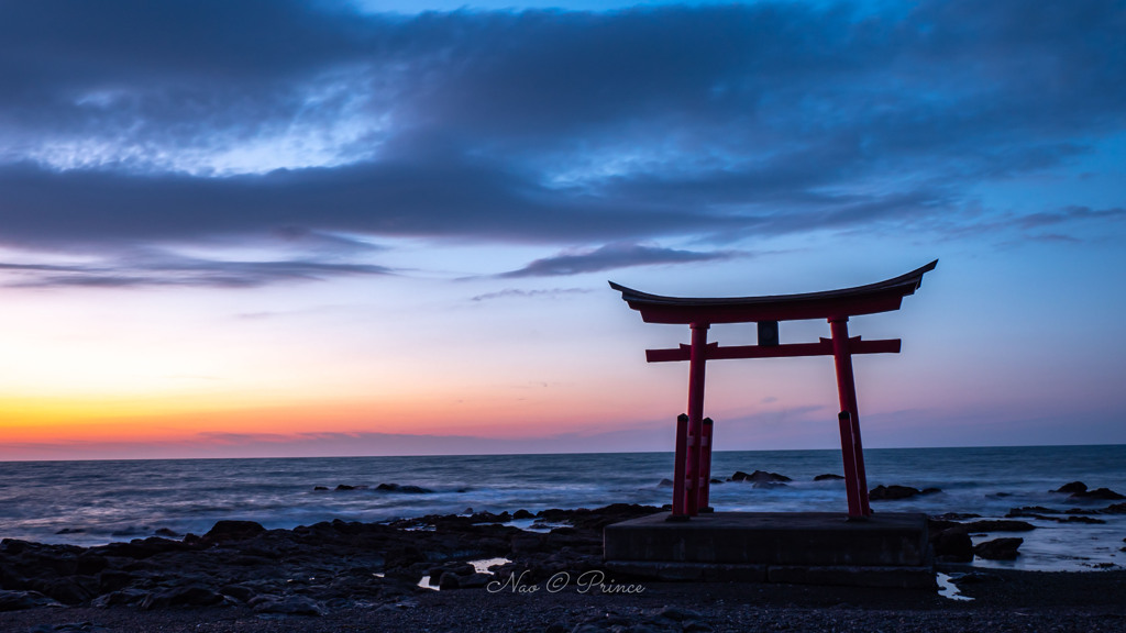 冬の海