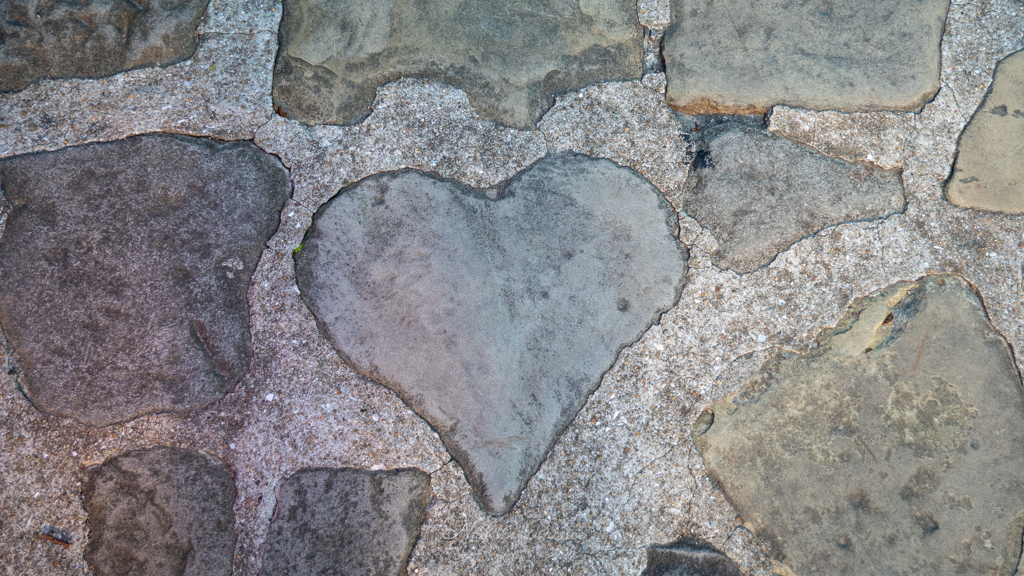 Heart