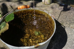 DSC00261