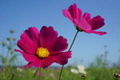 DSC04850