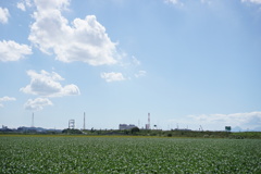 DSC00288