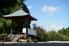 DSC00248.1