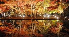 逆さ紅葉
