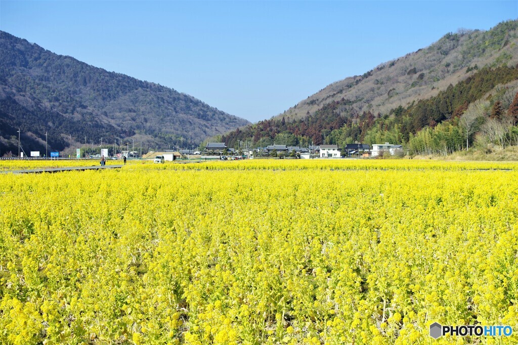 姫路散歩2(兵庫)