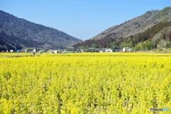 姫路散歩2(兵庫)