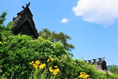 能勢散歩1(大阪)