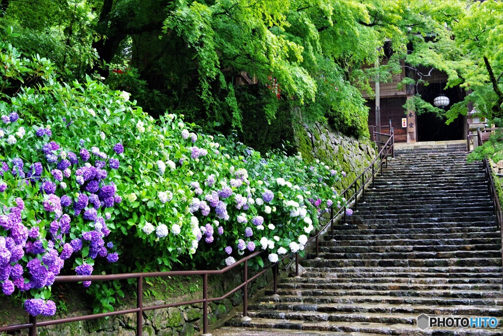 桜井散歩5(奈良)