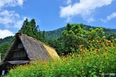 南砺散歩1(富山)