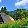 南砺散歩1(富山)