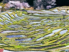 熊野散歩12(三重)