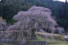 宇陀散歩4(奈良)