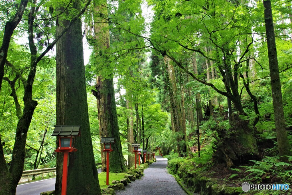 左京区散歩8(京都)