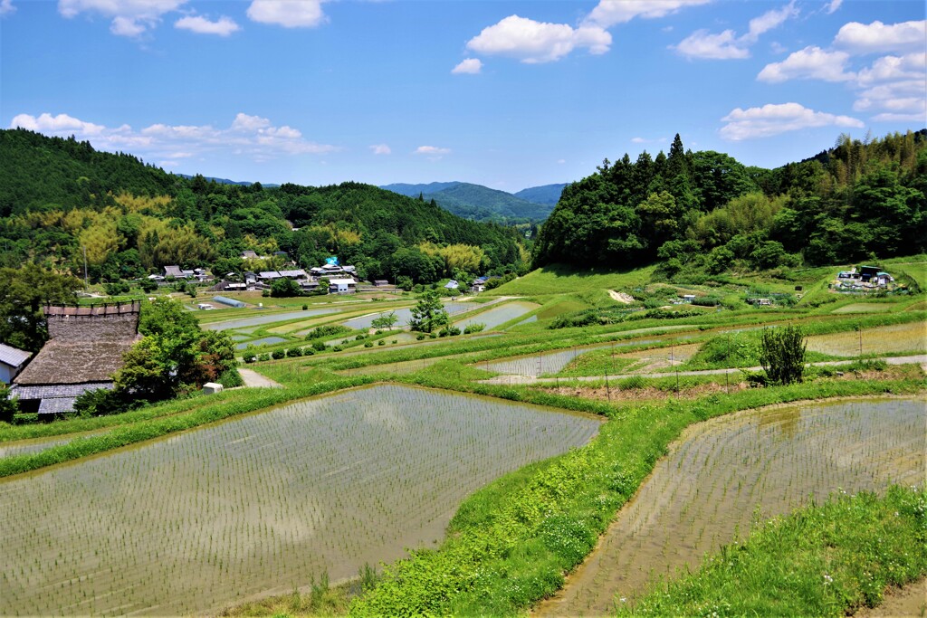 能勢町散歩2(大阪)