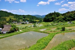 能勢町散歩2(大阪)