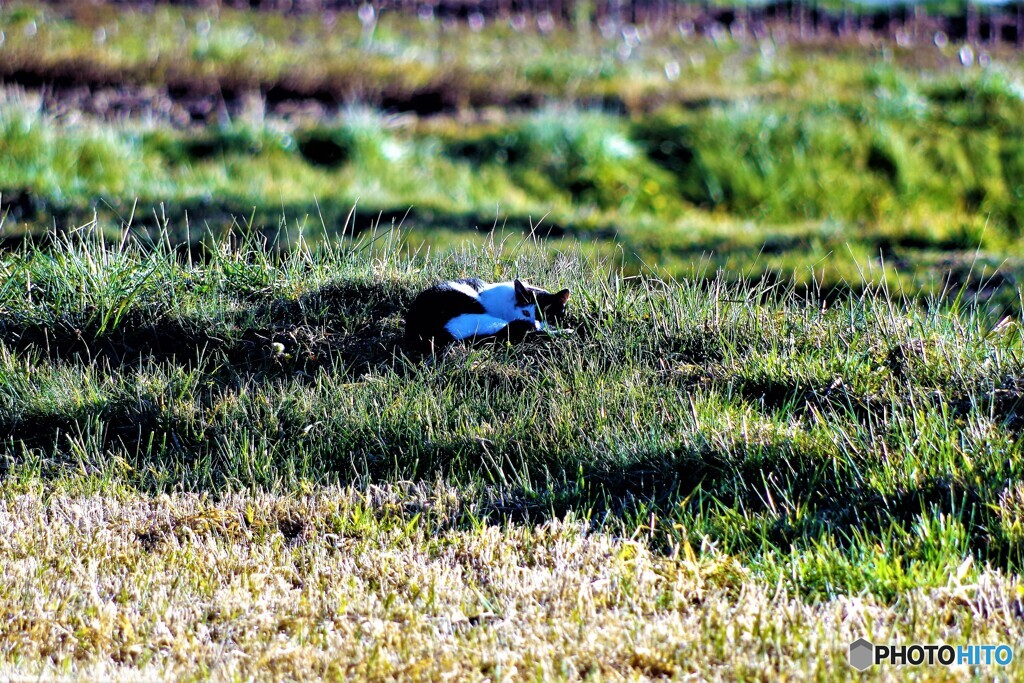 北杜市散歩3(山梨)