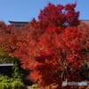 飯山散歩1(長野)