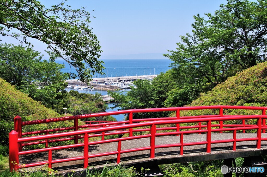 岬町散歩6(大阪)