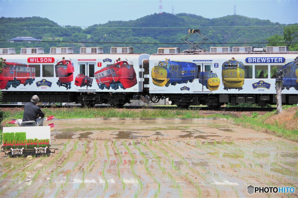 紀の川散歩3(和歌山)