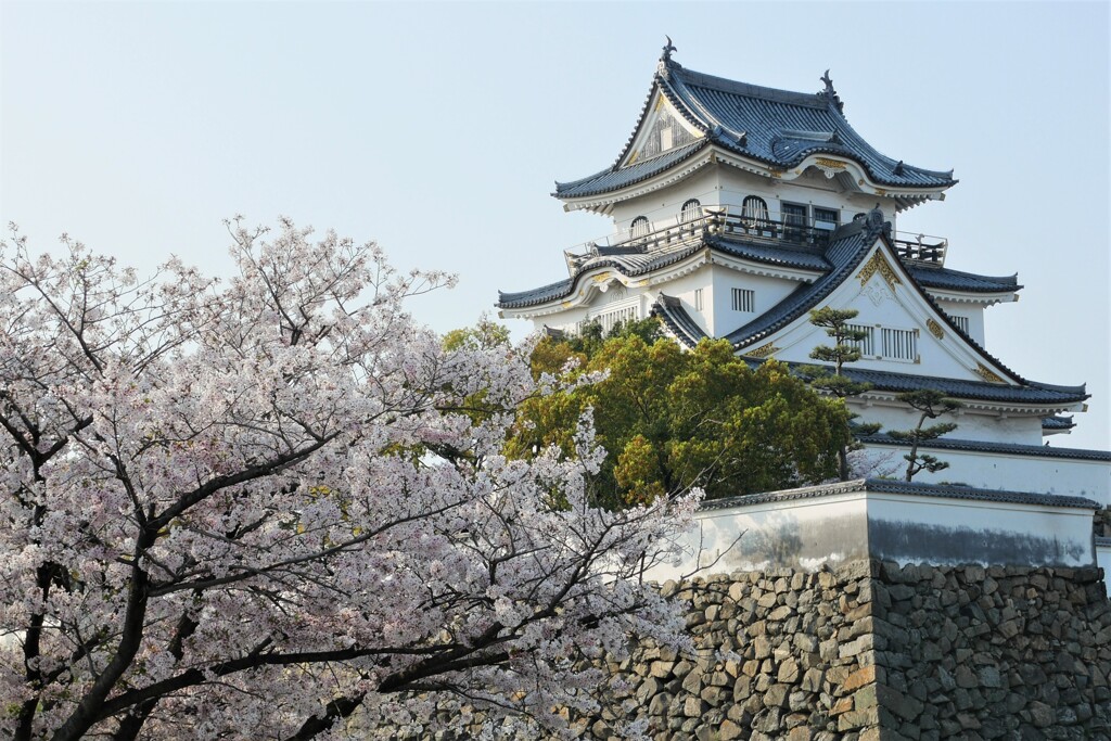 岸和田散歩3(大阪)