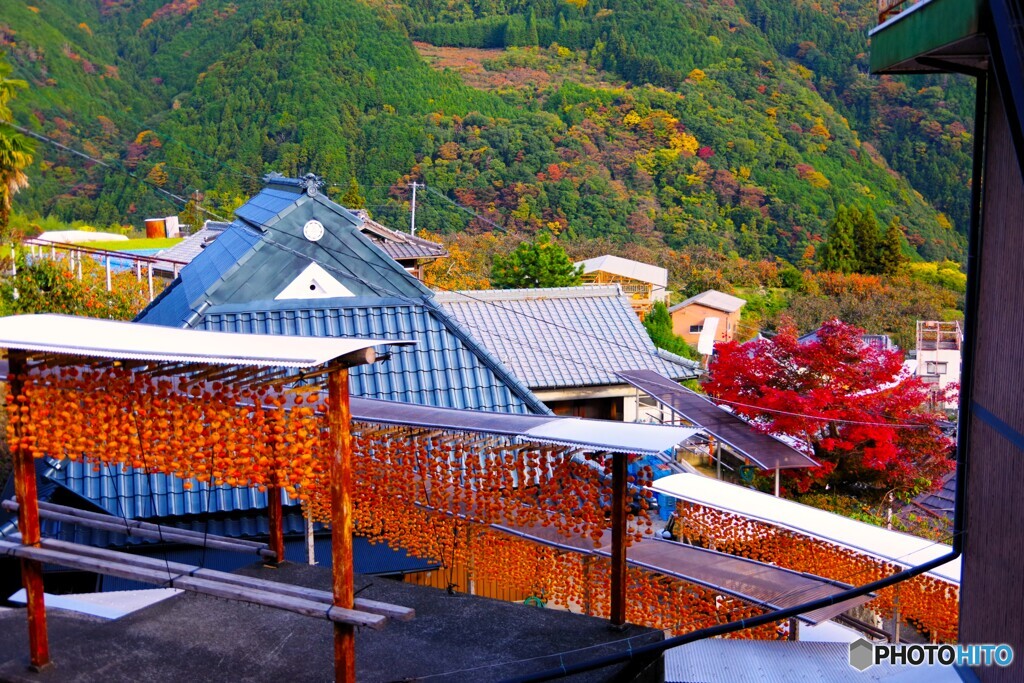 かつらぎ町15(和歌山)