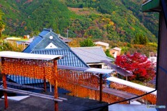 かつらぎ町15(和歌山)